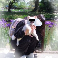 ゆい