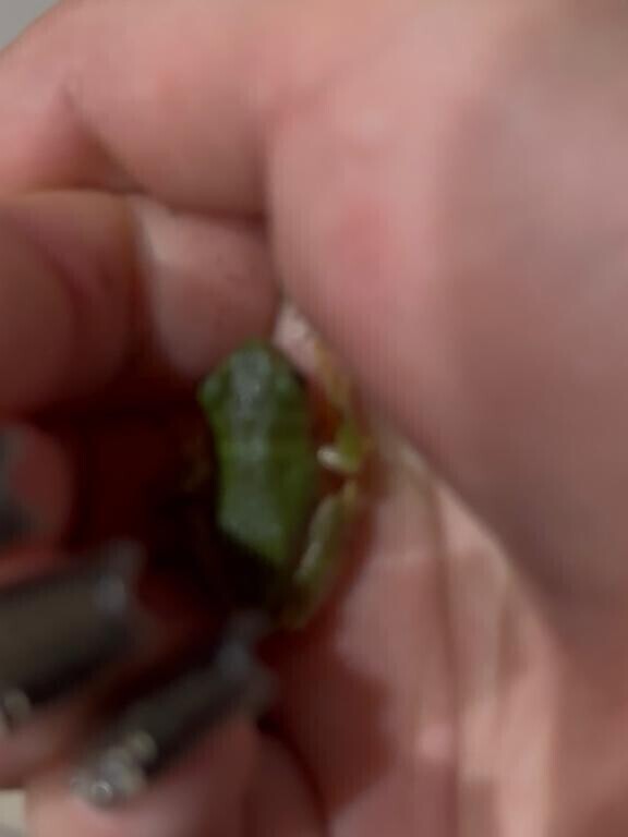 あーーー????????