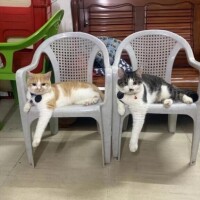受付終了?