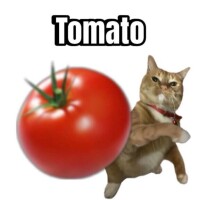 本日わずか！
