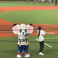 ありがとﾈﾝ