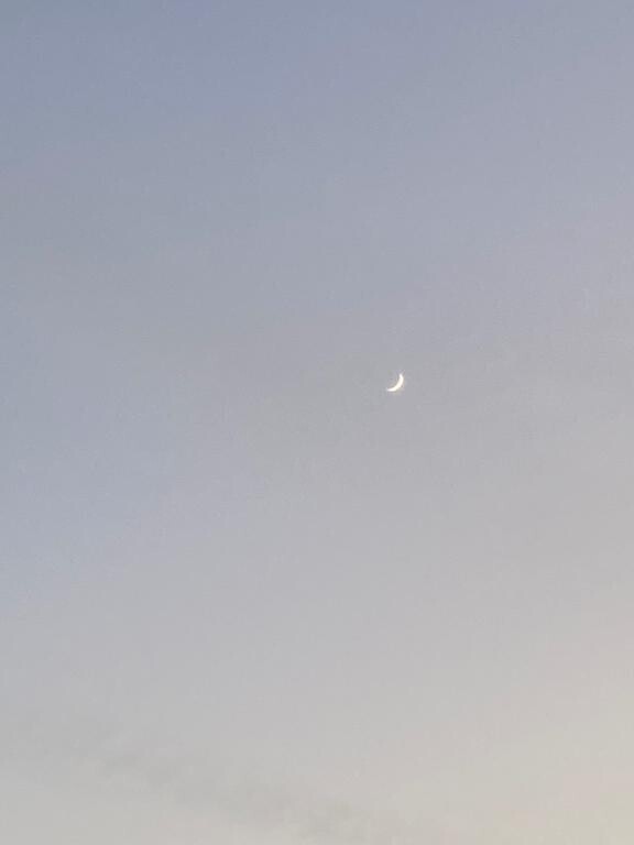 申し訳ございません