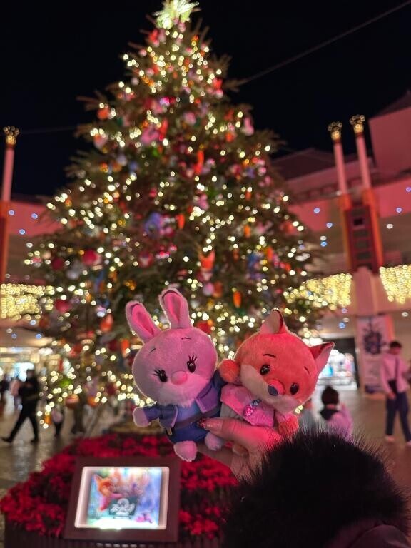 ハマってるの??