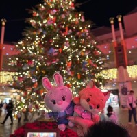 ハマってるの??