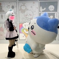 あしたからです?