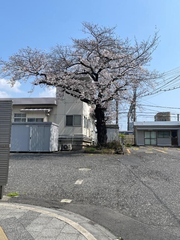 ありがとう????