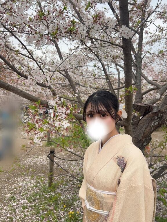 桜の…??