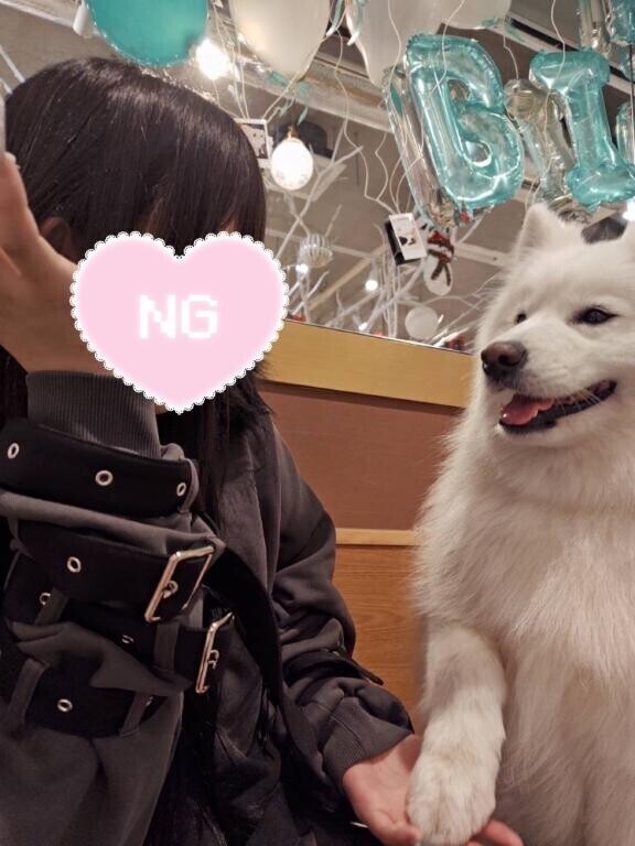 お手?