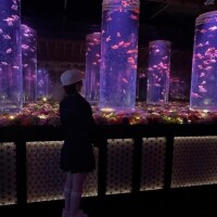 そらん