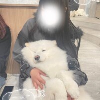 ゆい
