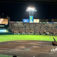 ことね