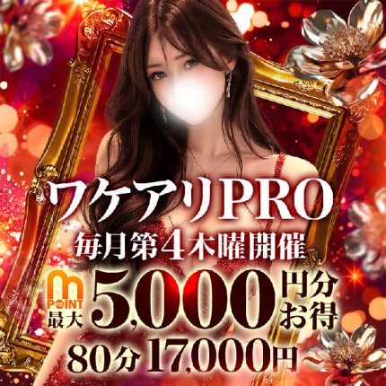 ワケアリPRO