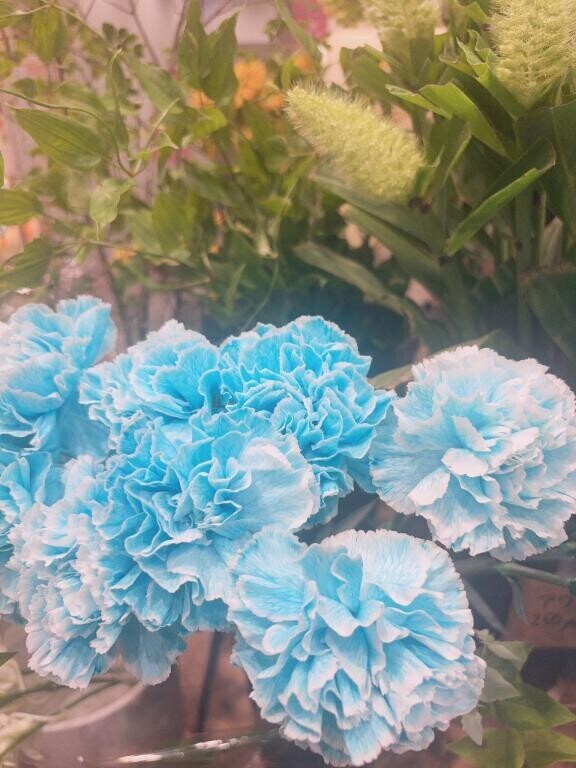 ありがとうございます