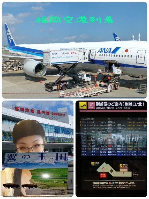 【福岡空港到着】