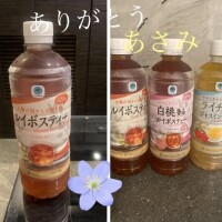 あさみ