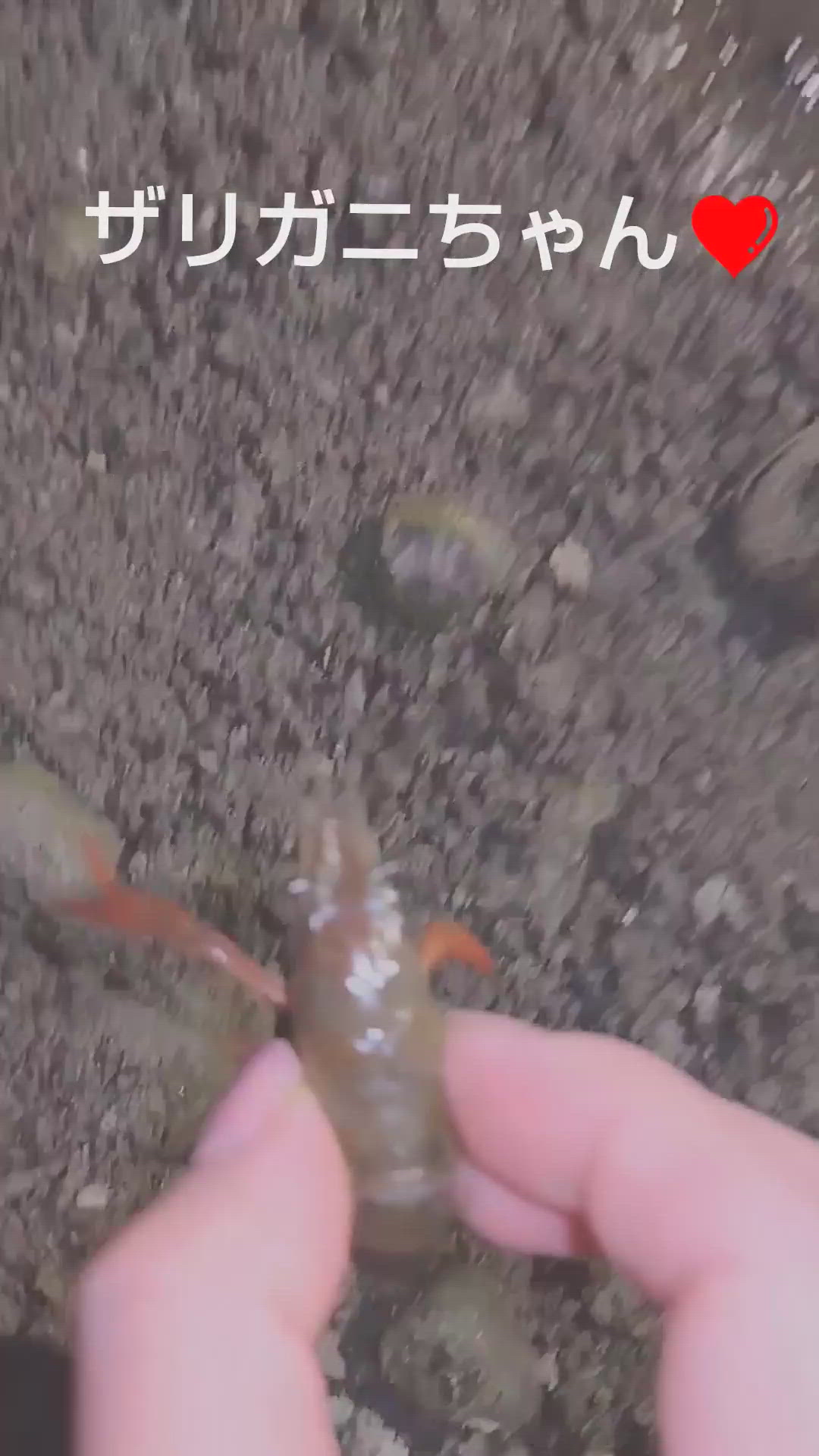 おまけ