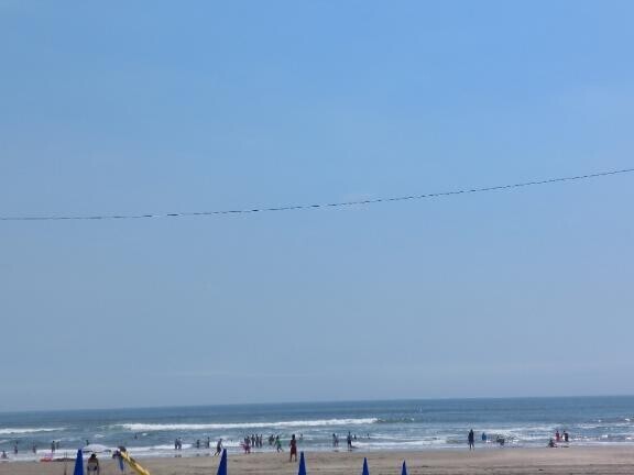 海