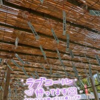 りんね