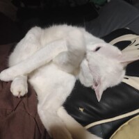 みさき
