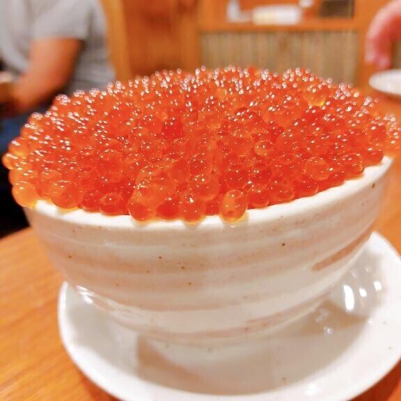 [お題]from:ロコモコ丼さん