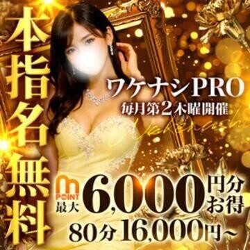 ワケナシ…
