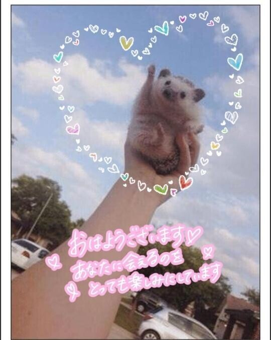 朝から
