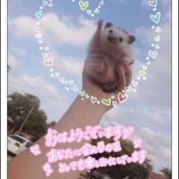 かよ