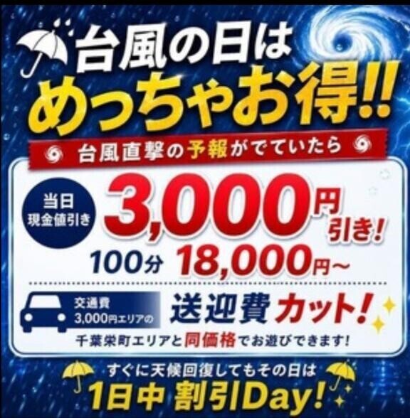 千葉花壇を