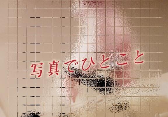 (⁠｡⁠･⁠ω⁠･⁠｡⁠)⁠ﾉ⁠ｳﾝ