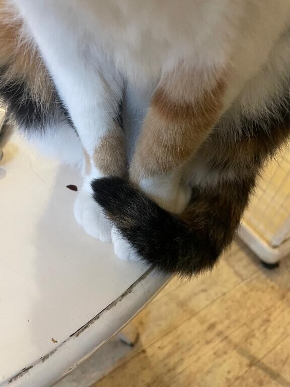 やばいい