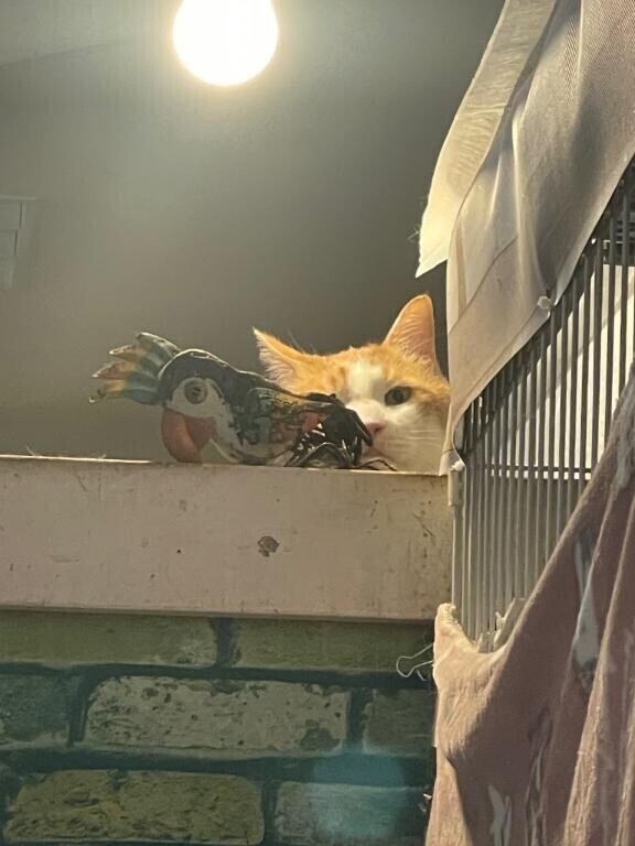 ごめんなさい‍