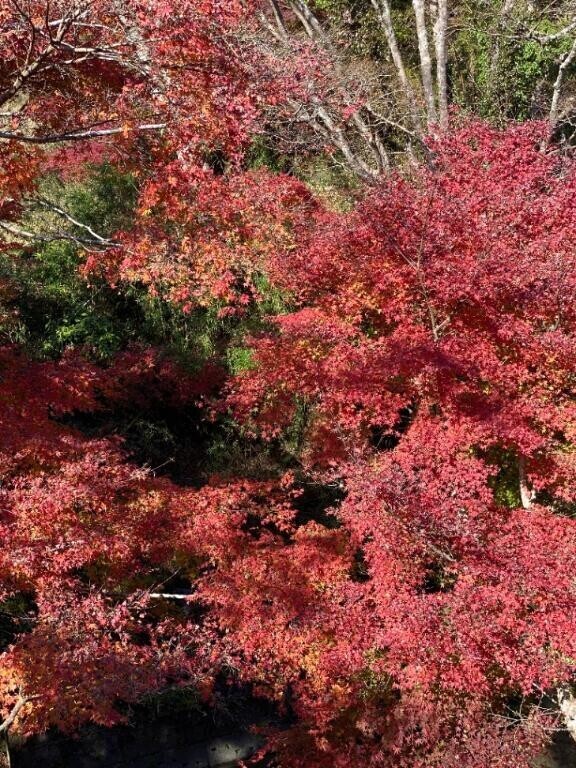 出勤しました‎