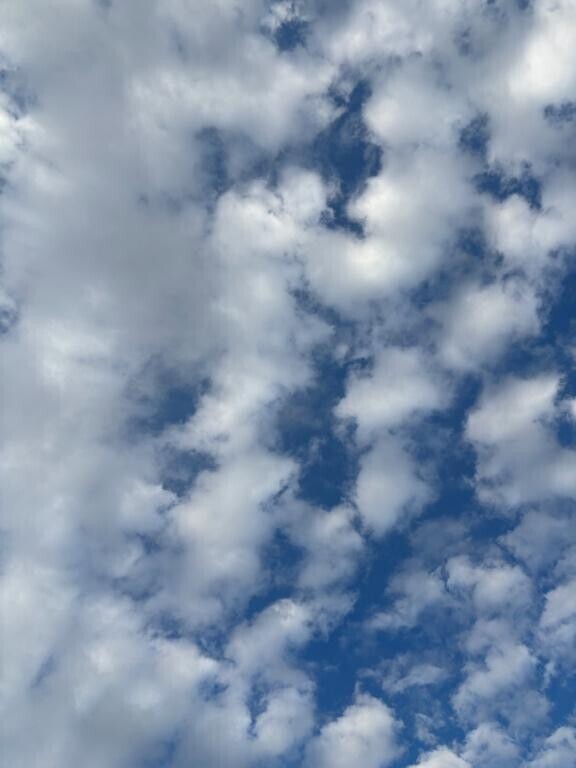 10時〜出勤いたします