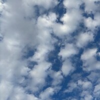 みすず