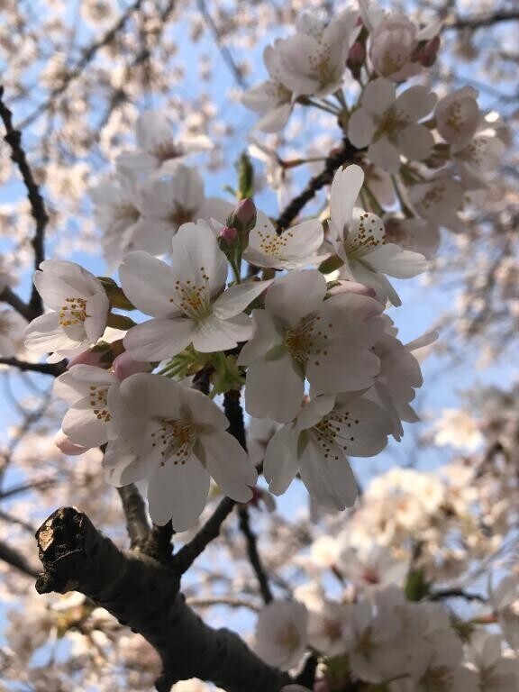 お礼