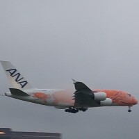 みどり
