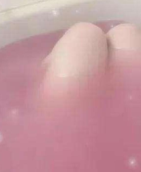 おはようございます！