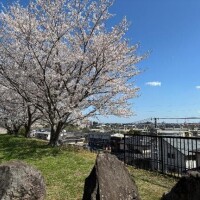 じゅん