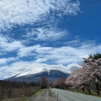 のどか