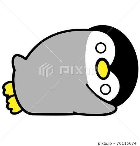 今日は