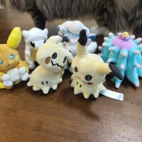 しおん
