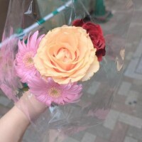 まこ