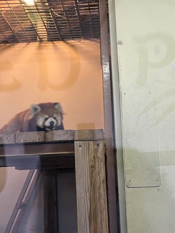 今日行くよ