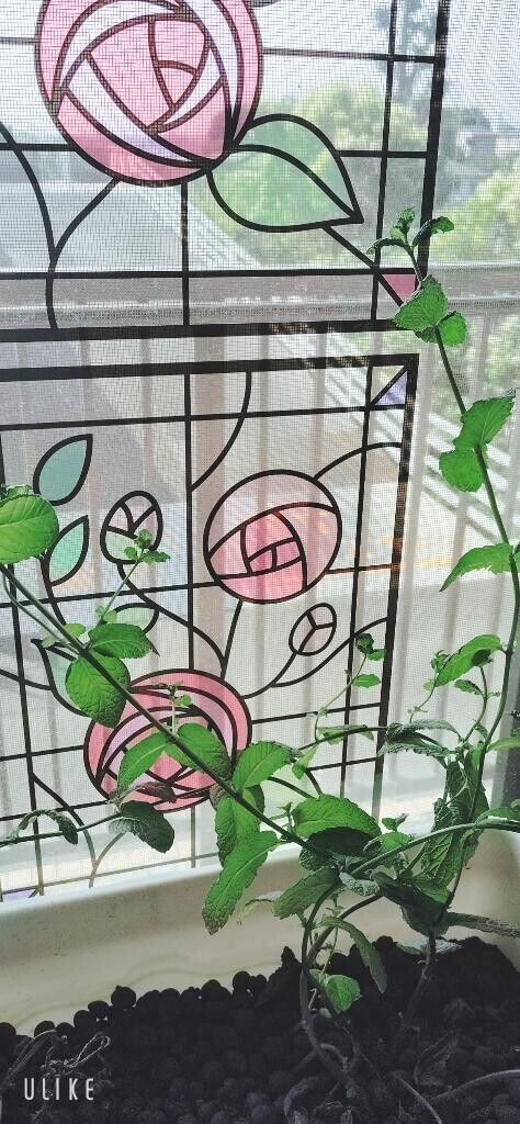 [お題]from:タカシさん