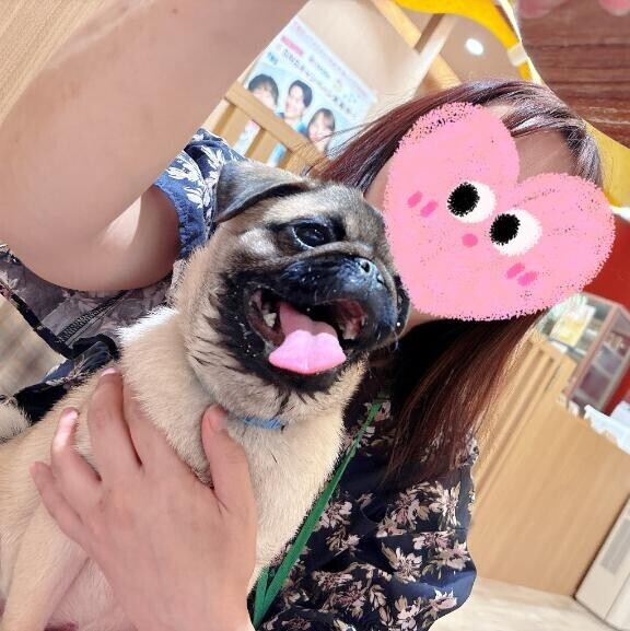 浅草からの犬カフェ