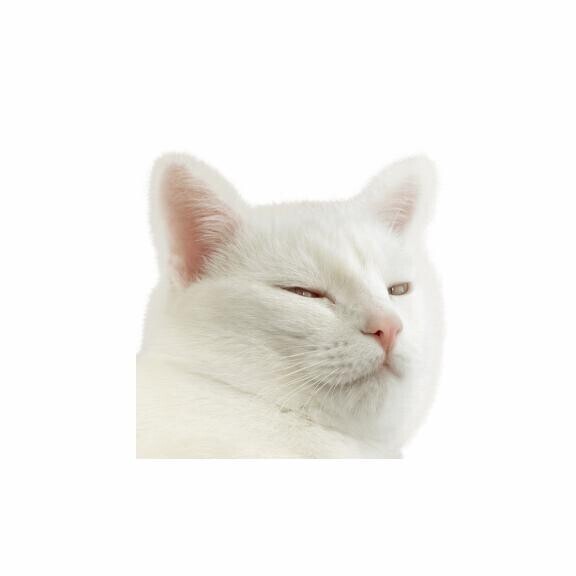 大丈夫？みんな生きてる？(´・-・｀)