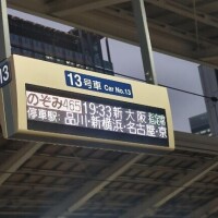 しおん