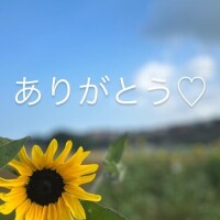 あんな