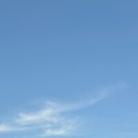ゆず