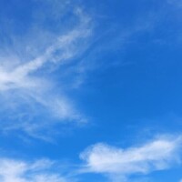 みどり